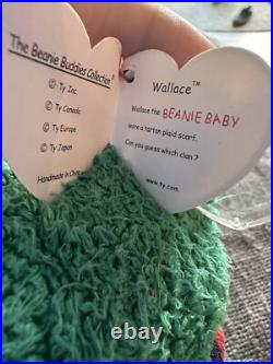 TY Beanie Baby Ultra Rare Rainbow Tag Edition! Errors! 1999 Wallace Bear