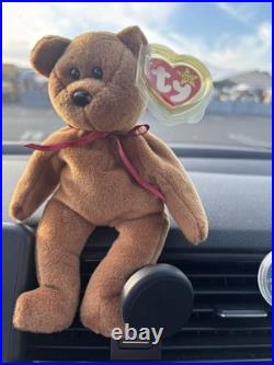 TY Beanie Baby VERY RARE CURLY the Bear withTag Errors (1993/1996) & Brown Nose