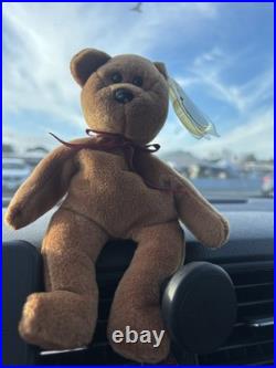 TY Beanie Baby VERY RARE CURLY the Bear withTag Errors (1993/1996) & Brown Nose