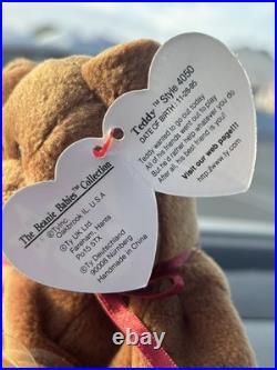 TY Beanie Baby VERY RARE CURLY the Bear withTag Errors (1993/1996) & Brown Nose