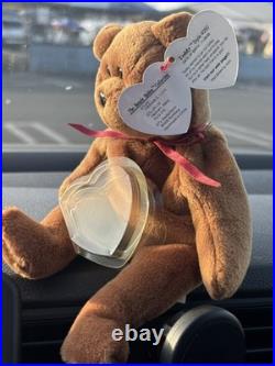 TY Beanie Baby VERY RARE CURLY the Bear withTag Errors (1993/1996) & Brown Nose