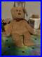 TY-Beanie-Baby-Very-Rare-Curly-the-Bear-with-Tag-Errors-1993-1996-Brown-Nose-01-ill