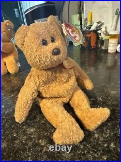 TY Beanie Baby Very Rare Curly the Bear with Tag Errors (1993/1996) & Brown Nose