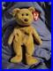 TY-Beanie-Baby-Very-Rare-Curly-the-Bear-with-Tag-Errors-1993-1996-Brown-Nose-01-pj