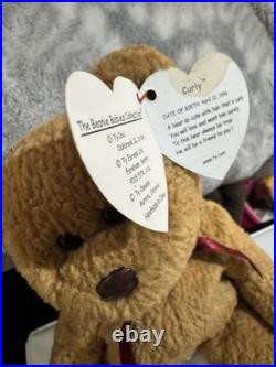 TY Beanie Baby Very Rare Curly the Bear with Tag Errors (1993/1996) & Brown Nose