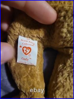 TY Beanie Baby Very Rare Curly the Bear with Tag Errors (1993/1996) & Brown Nose