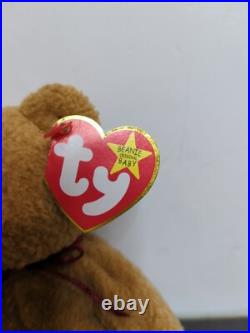 TY Beanie Baby Very Rare Curly the Bear with Tag Errors (1993/1996) & Brown Nose