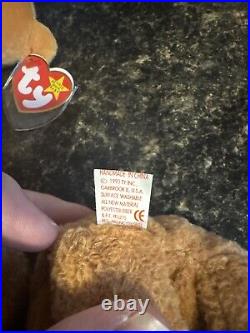 TY Beanie Baby Very Rare Curly the Bear with Tag Errors (1993/1996) & Brown Nose