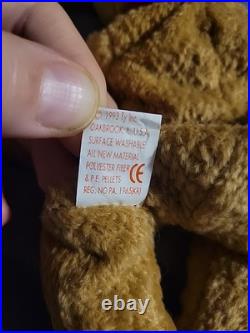 TY Beanie Baby Very Rare Curly the Bear with Tag Errors (1993/1996) & Brown Nose