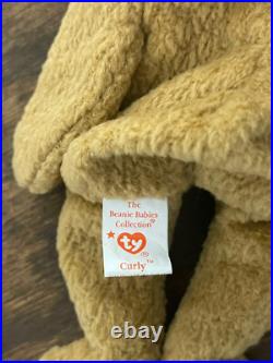 TY Beanie Baby Very Rare Curly the Bear with Tag Errors (1993/1996) & Brown Nose TY Beanie Baby Very Rare Curly the Bear with Tag Errors (1993/1996) & Brown Nose