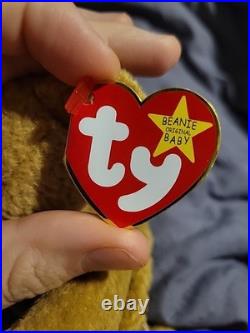 TY Beanie Baby Very Rare Curly the Bear with Tag Errors (1993/1996) & Brown Nose