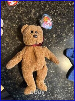 TY Beanie Baby Very Rare Curly the Bear with Tag Errors (1993/1996) & Brown Nose