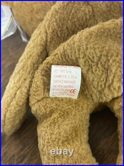 TY Beanie Baby Very Rare Curly the Bear with Tag Errors (1993/1996) & Brown Nose TY Beanie Baby Very Rare Curly the Bear with Tag Errors (1993/1996) & Brown Nose