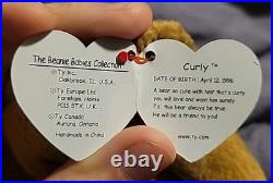 TY Beanie Baby Very Rare Curly the Bear with Tag Errors (1993/1996) & Brown Nose