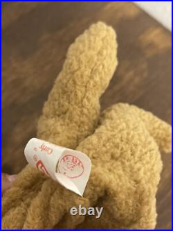 TY Beanie Baby Very Rare Curly the Bear with Tag Errors (1993/1996) & Brown Nose TY Beanie Baby Very Rare Curly the Bear with Tag Errors (1993/1996) & Brown Nose
