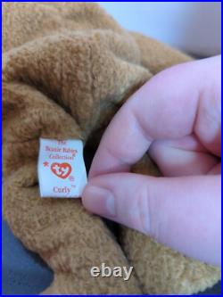 TY Beanie Baby Very Rare Curly the Bear with Tag Errors (1993/1996) & Brown Nose