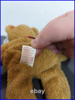 TY Beanie Baby Very Rare Curly the Bear with Tag Errors (1993/1996) & Brown Nose