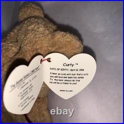 TY Beanie Baby Very Rare Curly the Bear with Tag Errors (1993/1996) & Brown nose