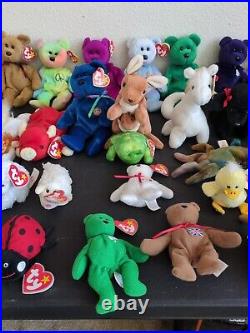 TY Beanie Baby lot 34 With Many Originals, Some Rare with Errors 1993 Need Gone