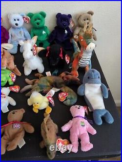 TY Beanie Baby lot 34 With Many Originals, Some Rare with Errors 1993 Need Gone