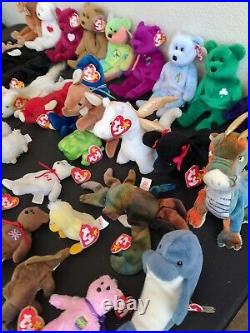 TY Beanie Baby lot 34 With Many Originals, Some Rare with Errors 1993 Need Gone