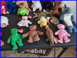 TY Beanie Baby lot 34 With Many Originals, Some Rare with Errors 1993 Need Gone