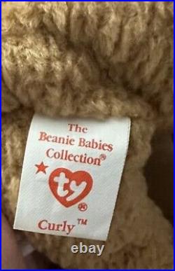 TY CURLY Beanie Baby VERY RARE the Bear withTag Errors (1993/1996) & Brown Nose