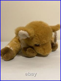 TY Classic BROOK FAWN Baby Deer Rare & HTF 2004 Mint NWT 12 Inches