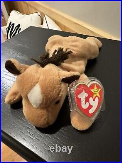 TY Derby Beanie Baby RARE with Tag Errors
