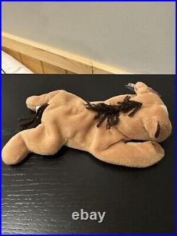 TY Derby Beanie Baby RARE with Tag Errors