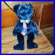 TY-POPS-Beanie-Baby-Rare-New-DOB-6-16-2001-Tag-Error-dated-2002-01-guue
