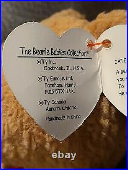 TY RARE RETIRED Beanie Babies Curly The Bear 1993/1996 MANY TAG ERRORS