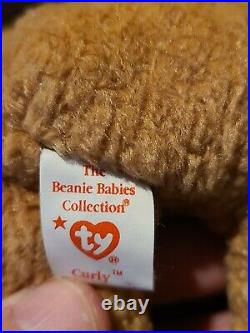 TY RARE RETIRED Beanie Babies Curly The Bear 1993/1996 MANY TAG ERRORS