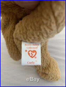 TY Rare Curly Beanie Baby Bear Errors! Original Series