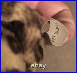 TY SNEAKY the LEOPARD BEANIE BABY MINT with MINT TAGS! RARE