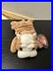 TY-Wrinkles-Beanie-Baby-RARE-with-Tag-Errors-01-vkb