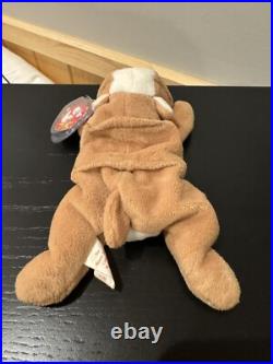 TY Wrinkles Beanie Baby RARE with Tag Errors