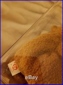 TY beanie baby Classic rare Curly retired bear. With tag errors. Rare