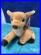 TY-beanie-baby-retired-whisper-the-deer-1997-98-Error-Stamped-411-Rare-Type2-01-shkc