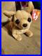 Tiny-the-Chihuahua-TY-Beanie-Baby-many-Errors-Holographic-extremely-RARE-01-obdt