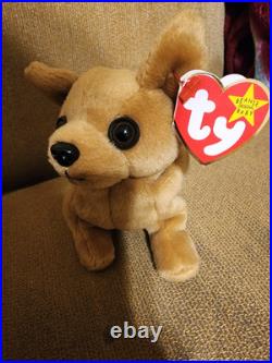 Tiny the Chihuahua TY Beanie Baby many Errors Holographic extremely RARE