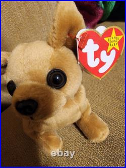 Tiny the Chihuahua TY Beanie Baby many Errors Holographic extremely RARE