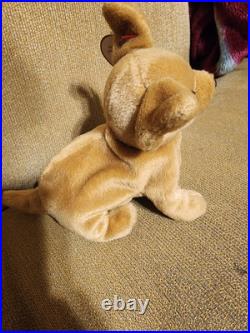 Tiny the Chihuahua TY Beanie Baby many Errors Holographic extremely RARE