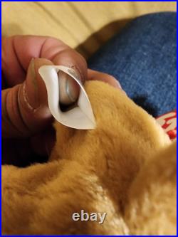 Tiny the Chihuahua TY Beanie Baby many Errors Holographic extremely RARE