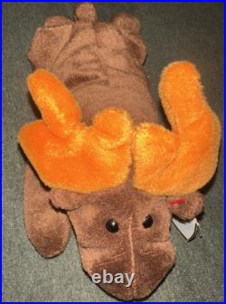 Ty 1993 Beanie Babies Chocolate the Moose Very Rare With Tag Error PVC Retired