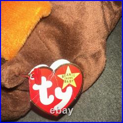 Ty 1993 Beanie Babies Chocolate the Moose Very Rare With Tag Error PVC Retired
