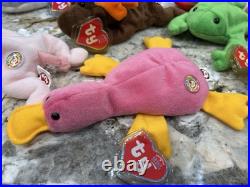 Ty BBOC Original 9 Beanie Babies Official Club Rare 2005 Complete Set Of 9 NWT