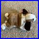 Ty-Beanie-Babies-Bernie-Hound-Dog-1996-RARE-ERRORS-01-wvb