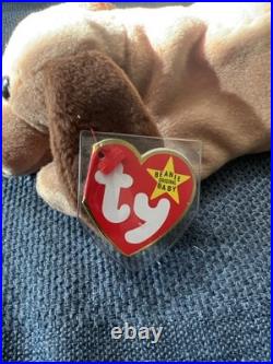 Ty Beanie Babies Bones The Dog. Rare With Errors