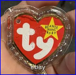 Ty Beanie Babies CLUBBY Bear (2) With Display Case Rare